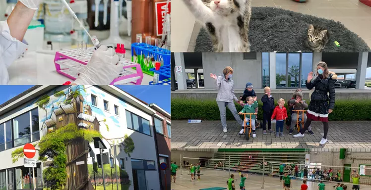  Het doet goed om goed te doen Het doet goed om goed te doen 